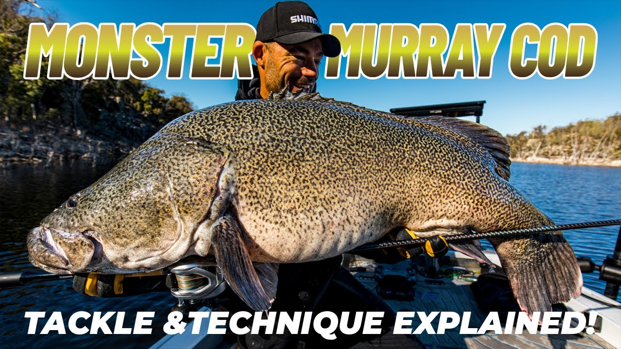 Monster Murray Cod Using Live Sonar | Tackle and technique explained!