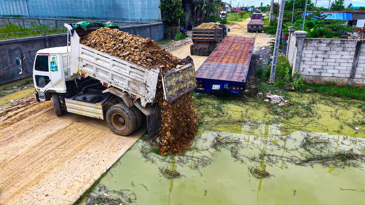New Landfill Be Careful! Flooded Field Landfill Work | D20P Dozer & 5Ton Dump Truck in Action