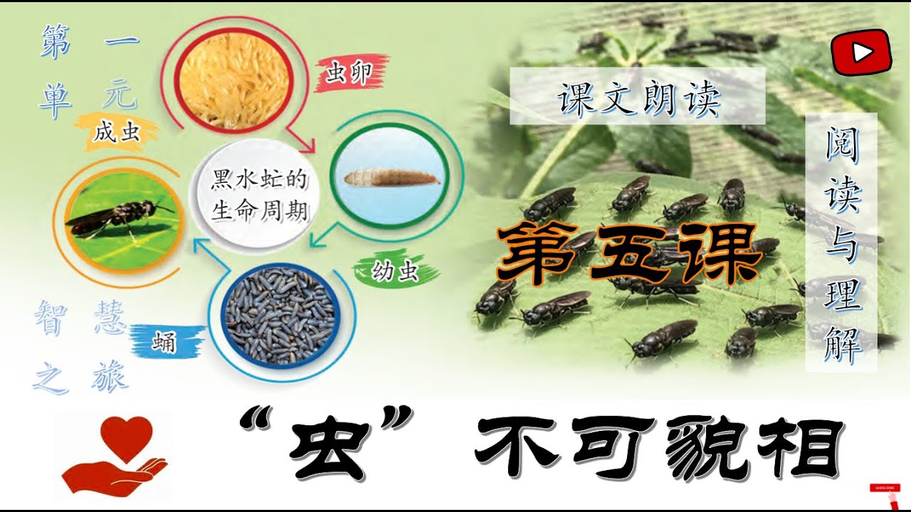 六年级华文KSSR Semakan 第五课《虫不可貌相》课文朗读+阅读与理解