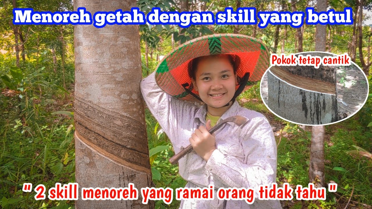 Cara menoreh getah dengan betul | Guna 2 teknik menoreh untuk pemula