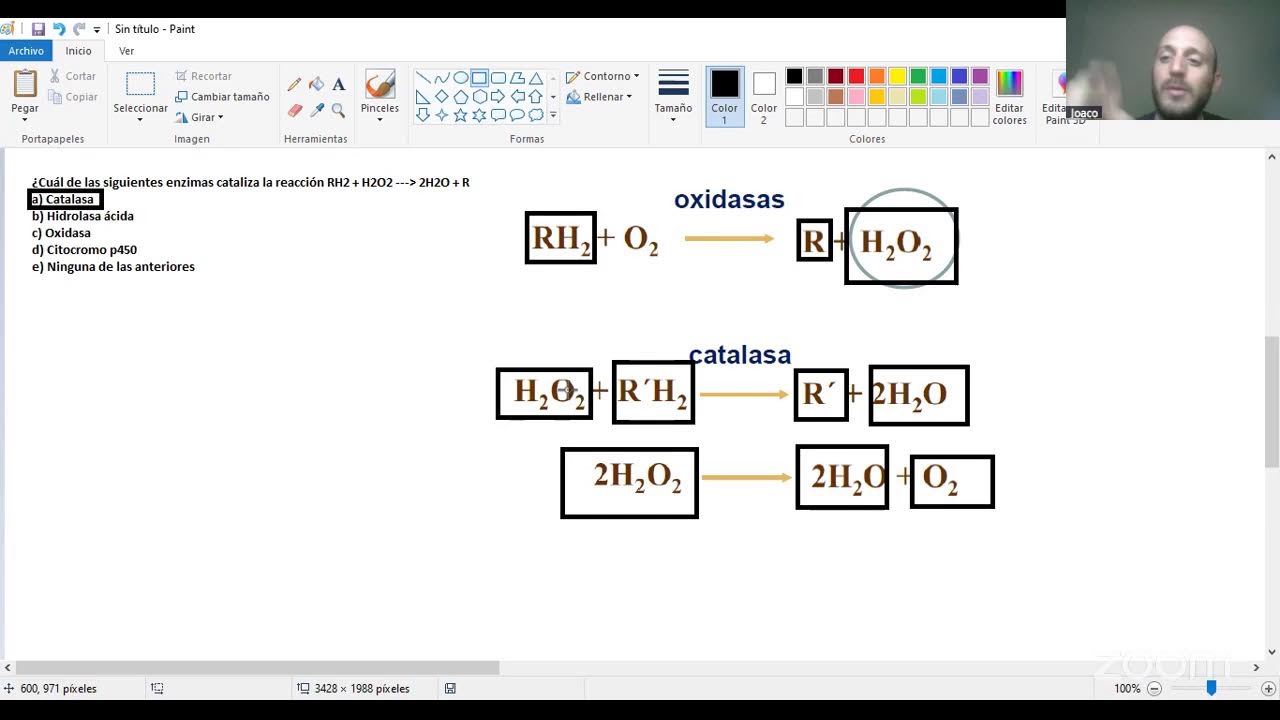 CURSO PREFINAL DE BIOLOGÍA 2025 - COMPARTIMENTOS INTRACELULARES
