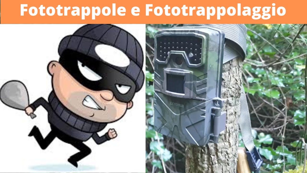 У меня украли фотоловушки! Понятно!