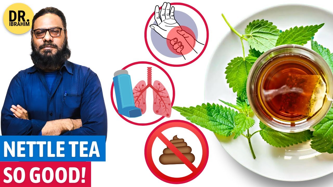 🦂 Bichu Buti: Har Bemari Ka Ilaj, Kaise?! Stinging Nettle Tea Benefits | Dr. Ibrahim