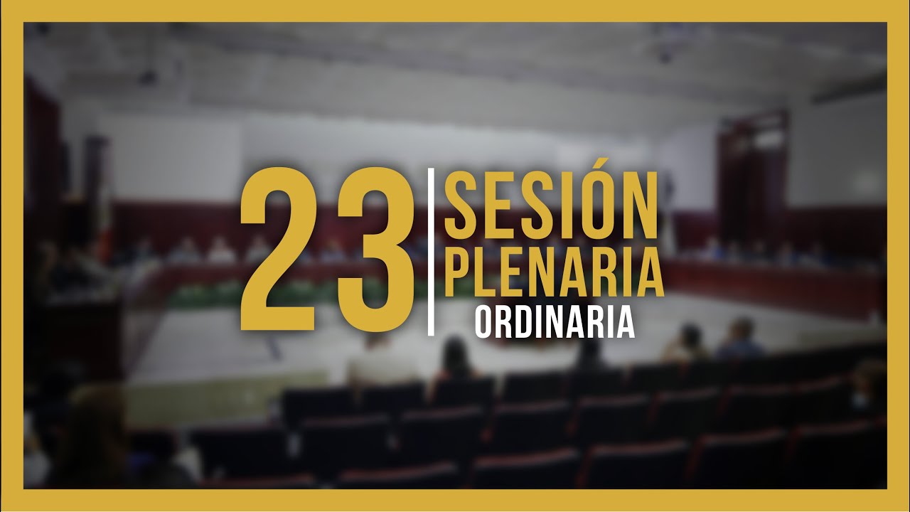 23 Sesión Plenaria Ordinaria 2025
