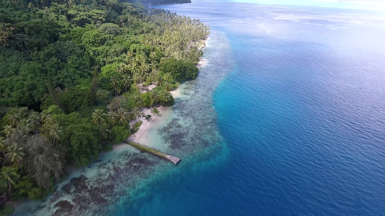 Tahaa -  Joe Dassin 2017  (4K)