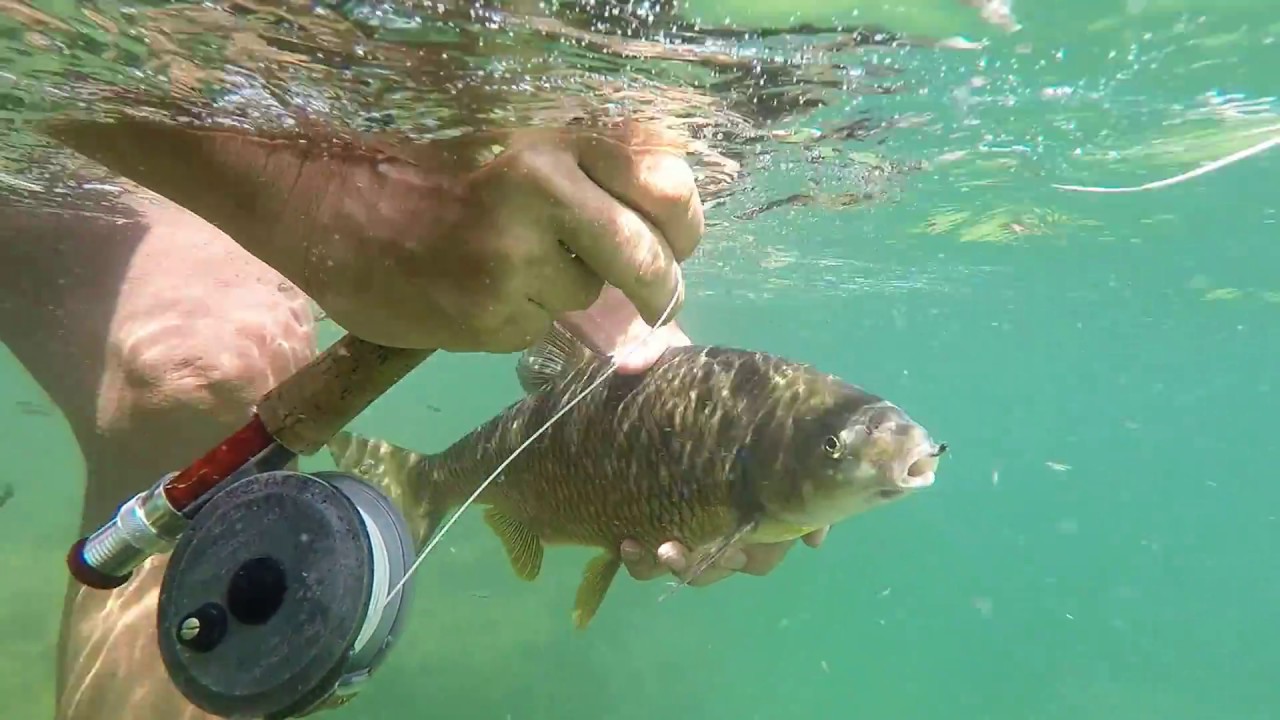 Una nymph flyfishing