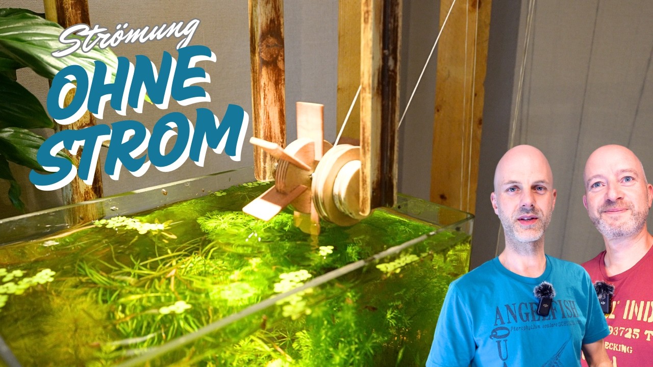 Aquarium ohne Strom? So funktioniert Jans historische Strömungspumpe!