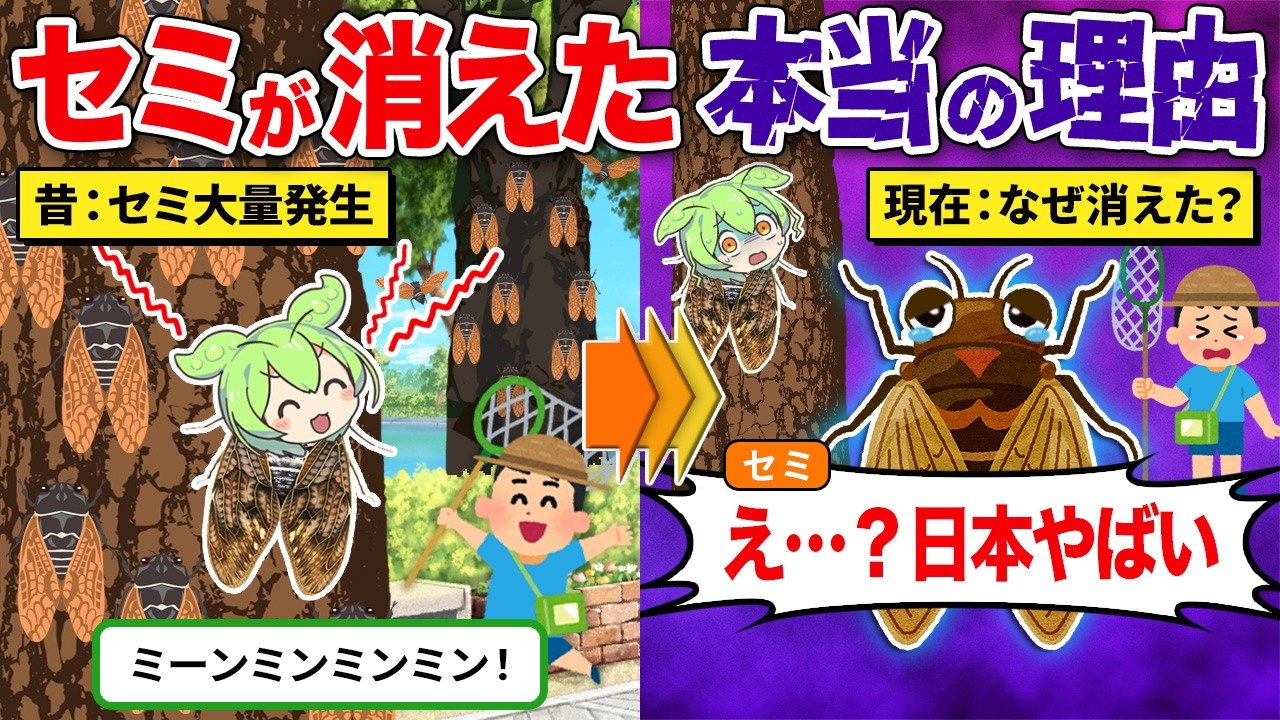日本からセミが消えている本当の理由
