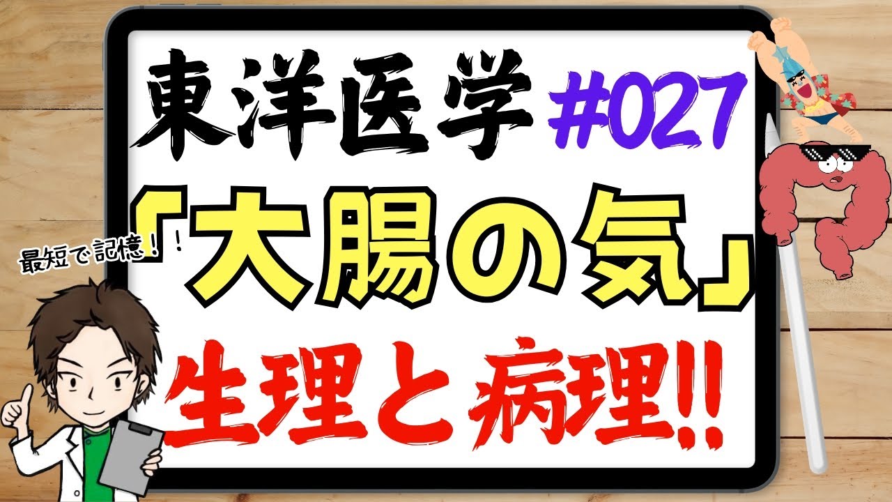 【東概027】大腸の気の生理＆病理『超時短理解で国試を勝ち戦に！』