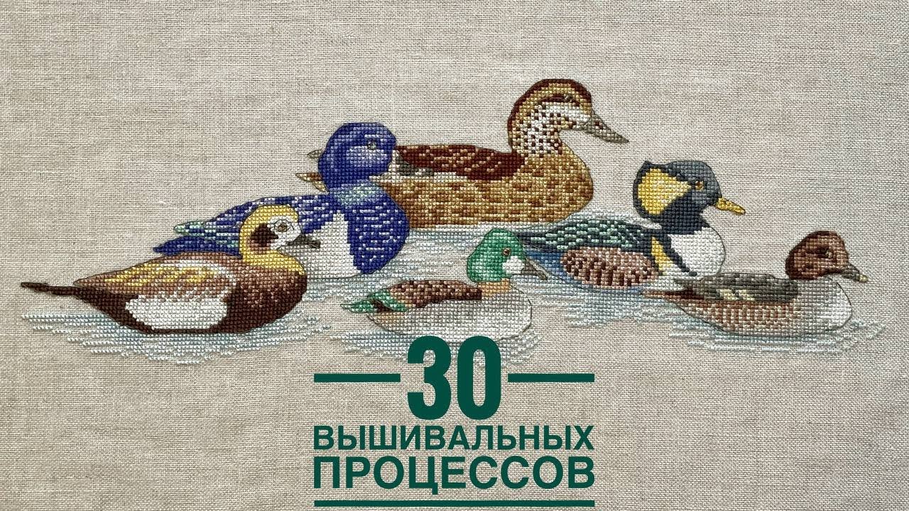 30 процессов. 8 стартов за первые полгода 2024.