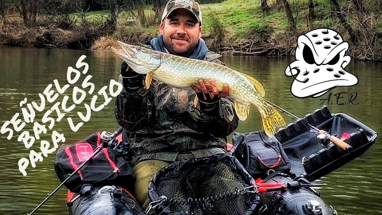 Señuelos básicos para la pesca del lucio