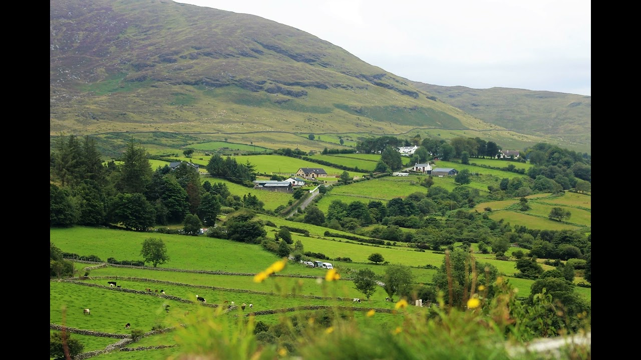 Brendan Shine ~County Down ☘