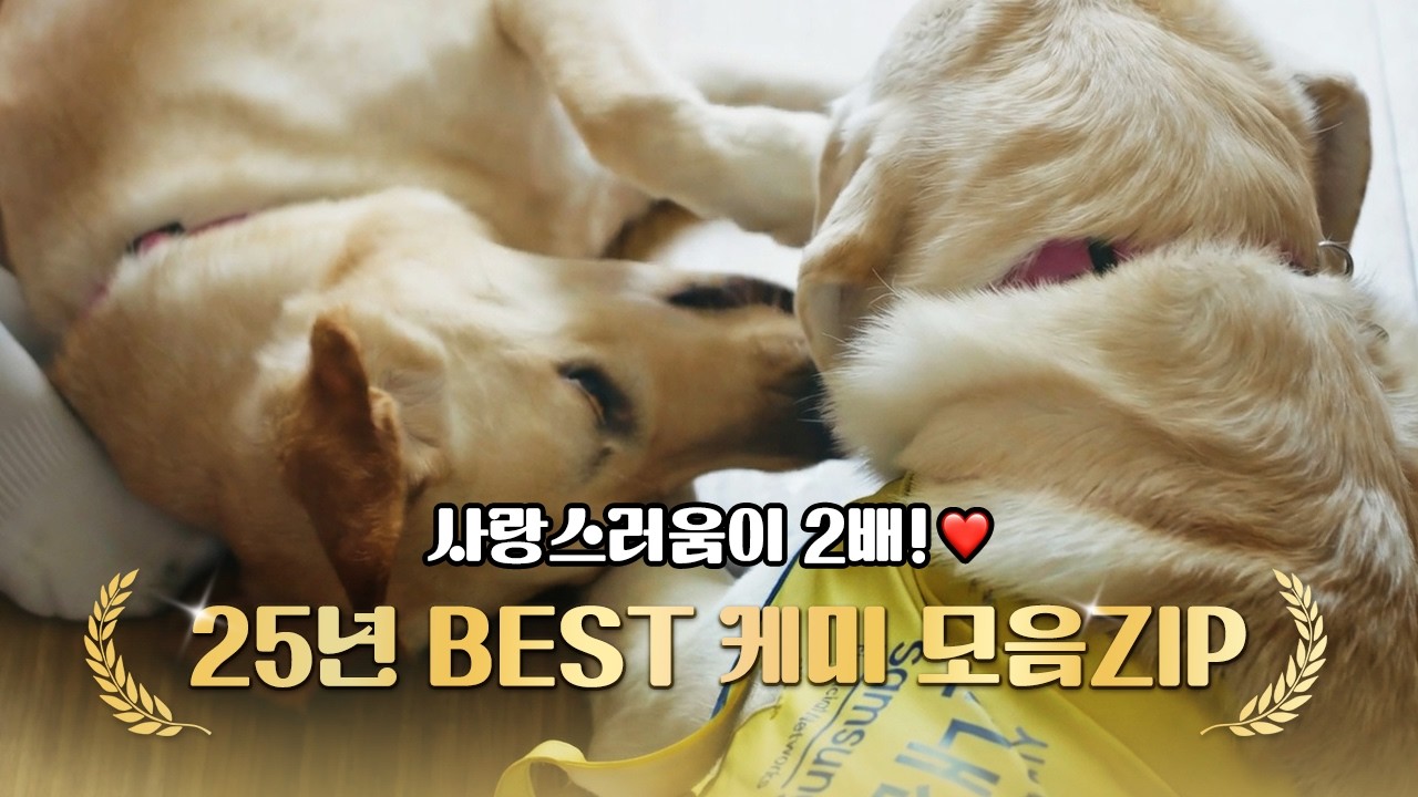 사랑스러움이 2배💙25년 BEST 케미 모음 ZIP