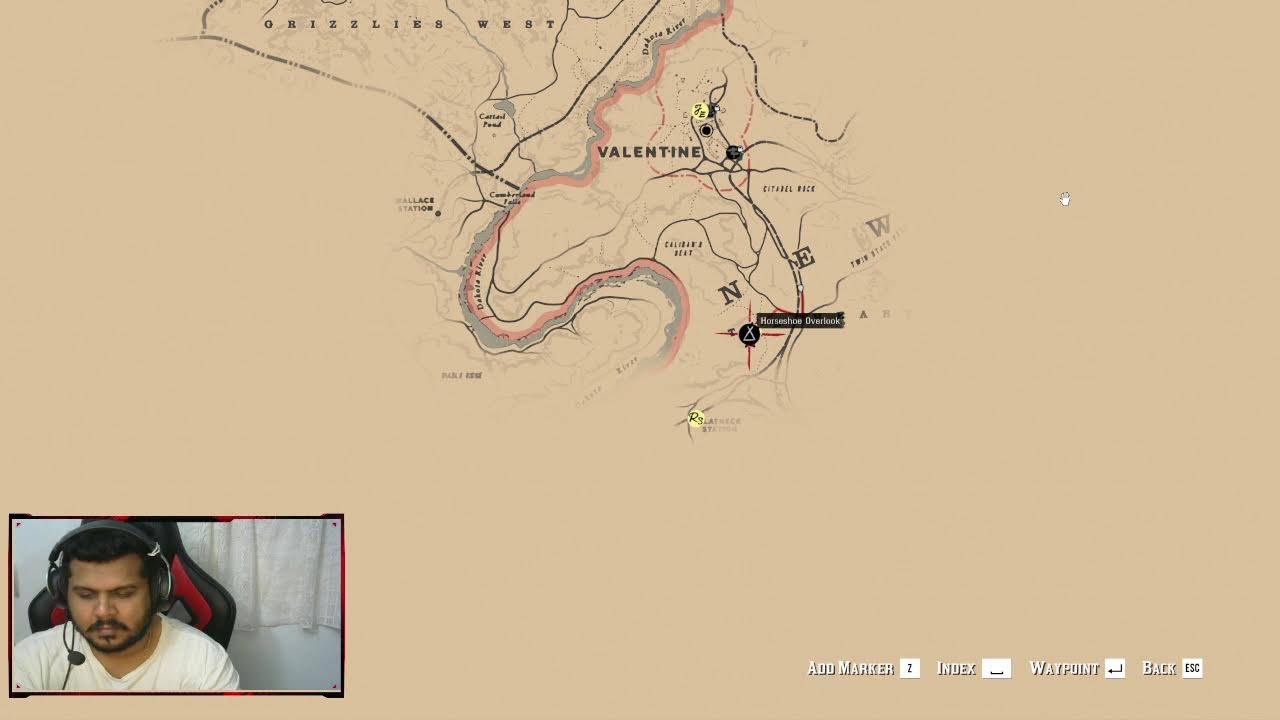 GAMING LIVE 🔴 RDR2 E-002