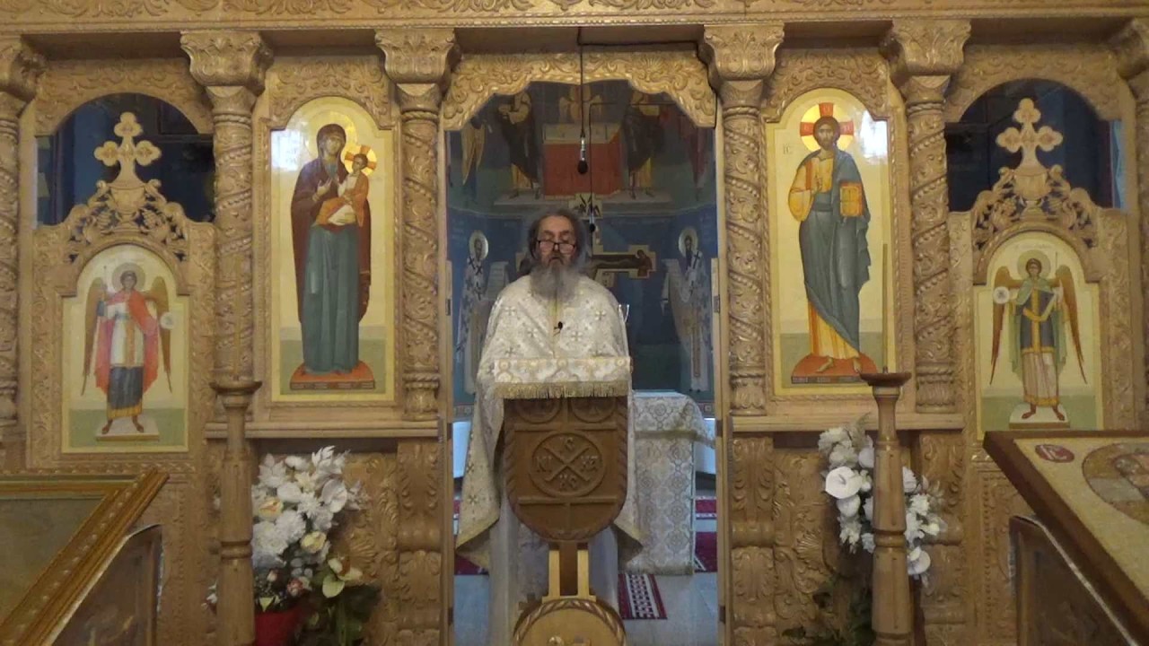 Puterea și fascinația muzicii. Muzica lumească vs muzica duhovnicească – Pr. Dan Popovici