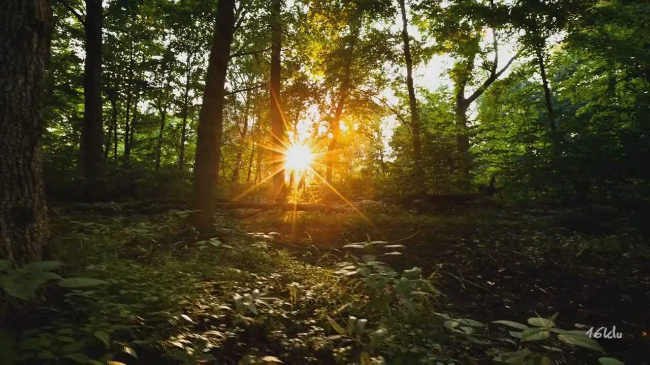 UCast - Nova (Original Mix) [Music Video] [Silent Shore]