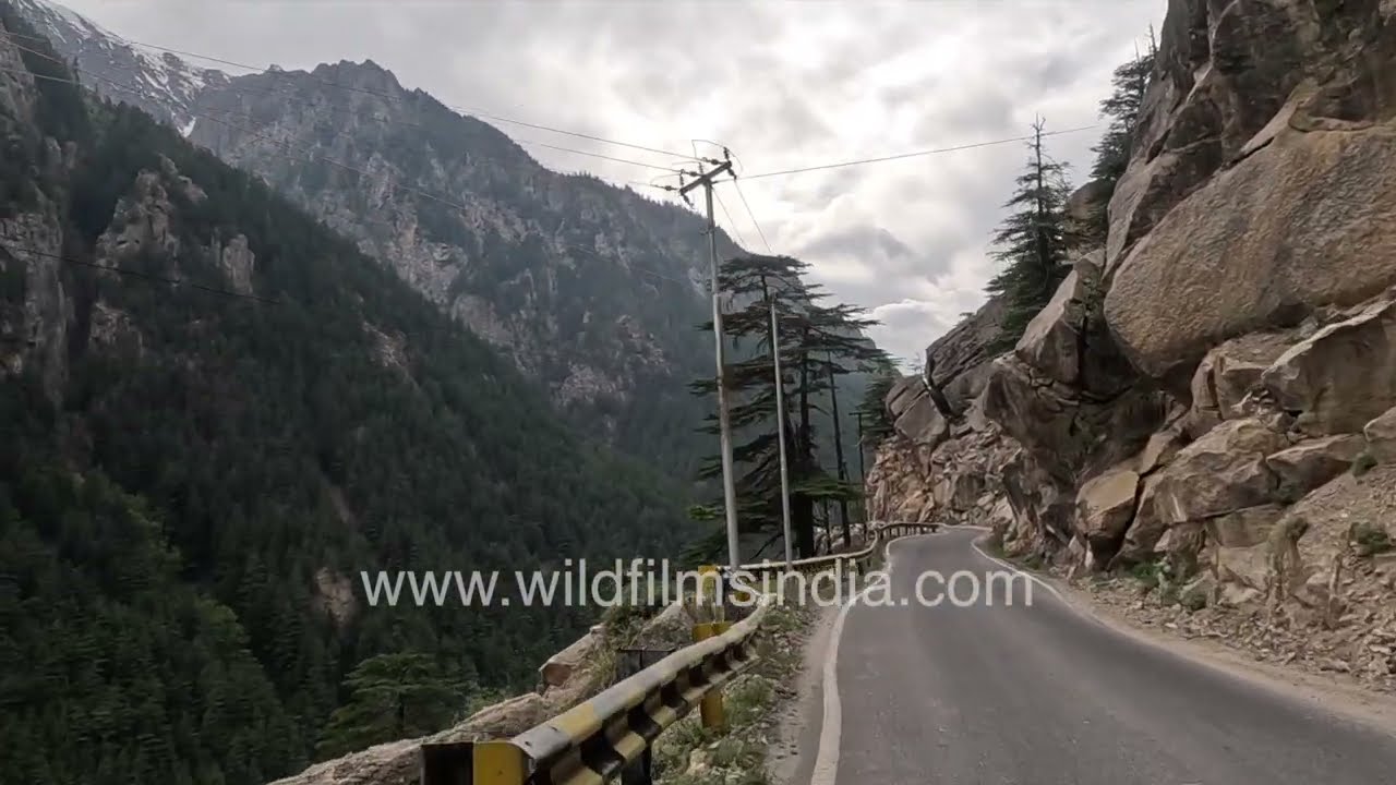 Scenic Drive to Gangotri Dham Himalayan Road Journey Uttarakhand