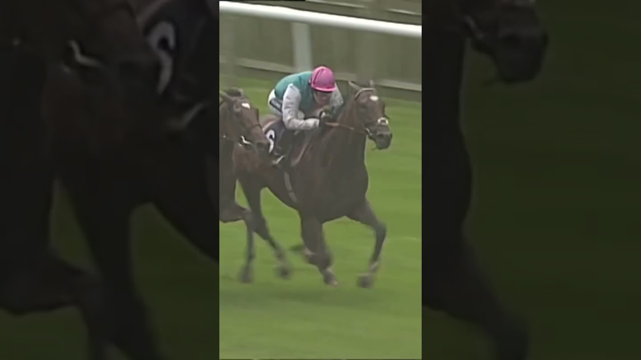 Frankel&rsquo;s debut win came on this day in 2010!