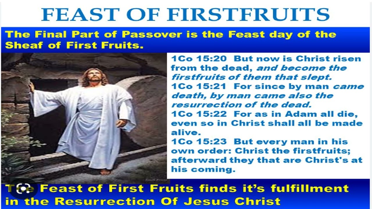 First Fruits - What does it have to do with the Messiah's Resurrection