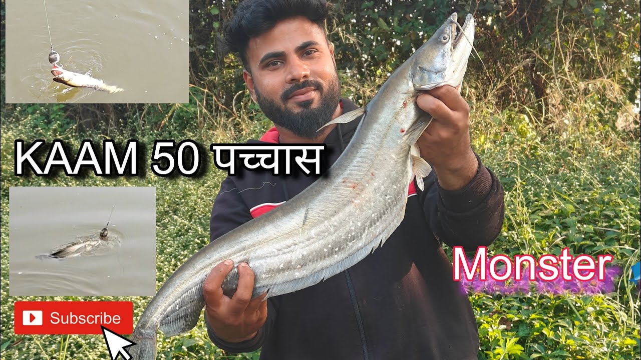 आज केला काम 50😱🎣 लागला मोठा शिवडा/spoon fishing techniques