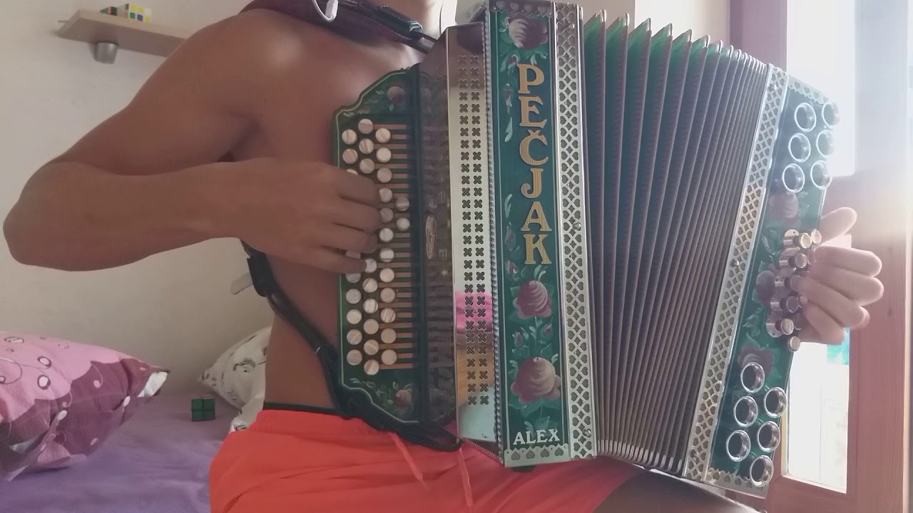 Lojze Slak-Lahko noč Zlatolaska (harmonika)