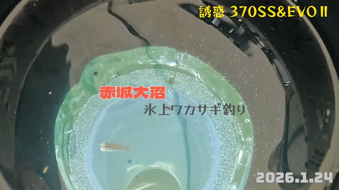 2026.1.24【虚無でマキタ】赤城大沼氷上ワカサギ釣り