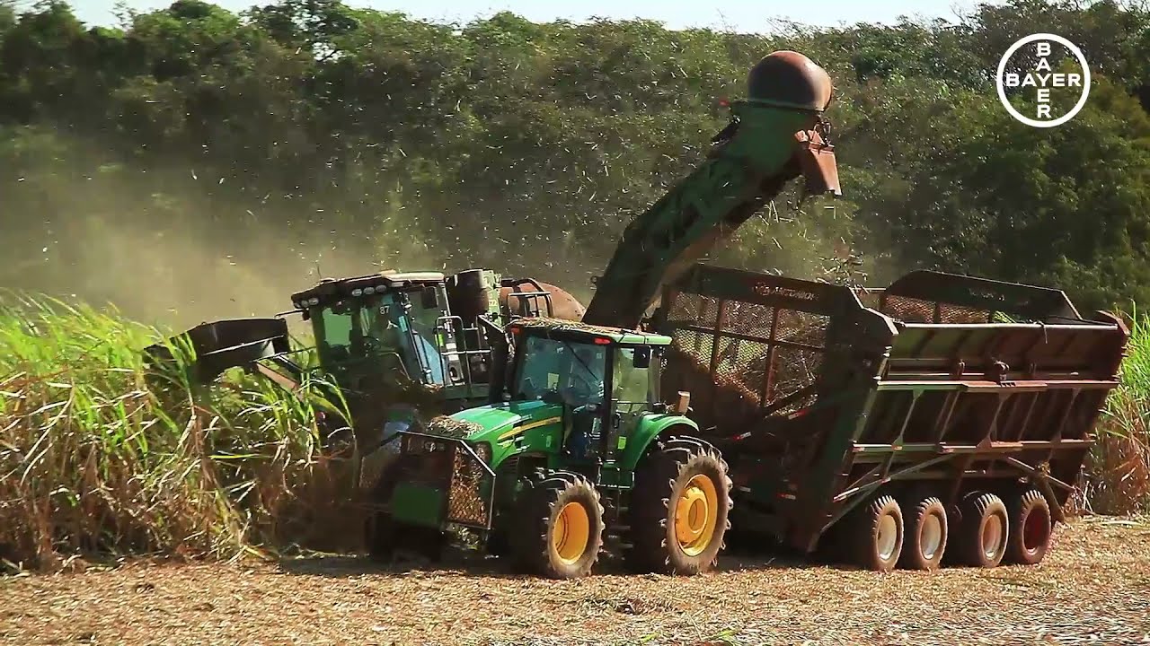 Working Together | Sustainable Soy Production in Brazil