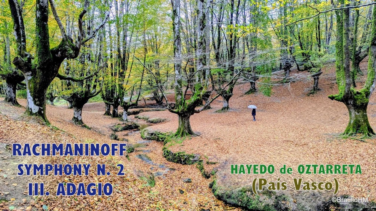 Hayedo de Oztarreta (País Vasco), en otoño. 🎼🎻 Rachmaninoff: Adagio Sinfonia n. 2.  