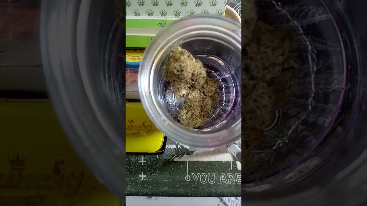 CAM Bubba's girl strain review