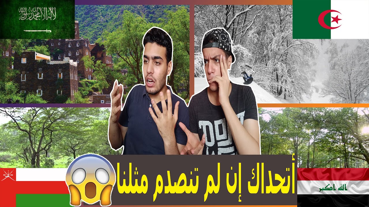 أفضل 10 دول عربية من حيث الغطاء النباتي والغابات | رسالة مهمة للإعلام والقيادات السياسية !!