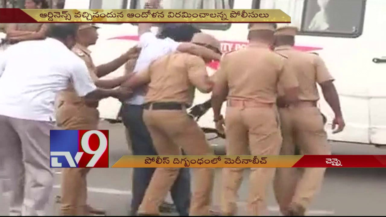 Jallikattu - Students refuse to end protests - TV9