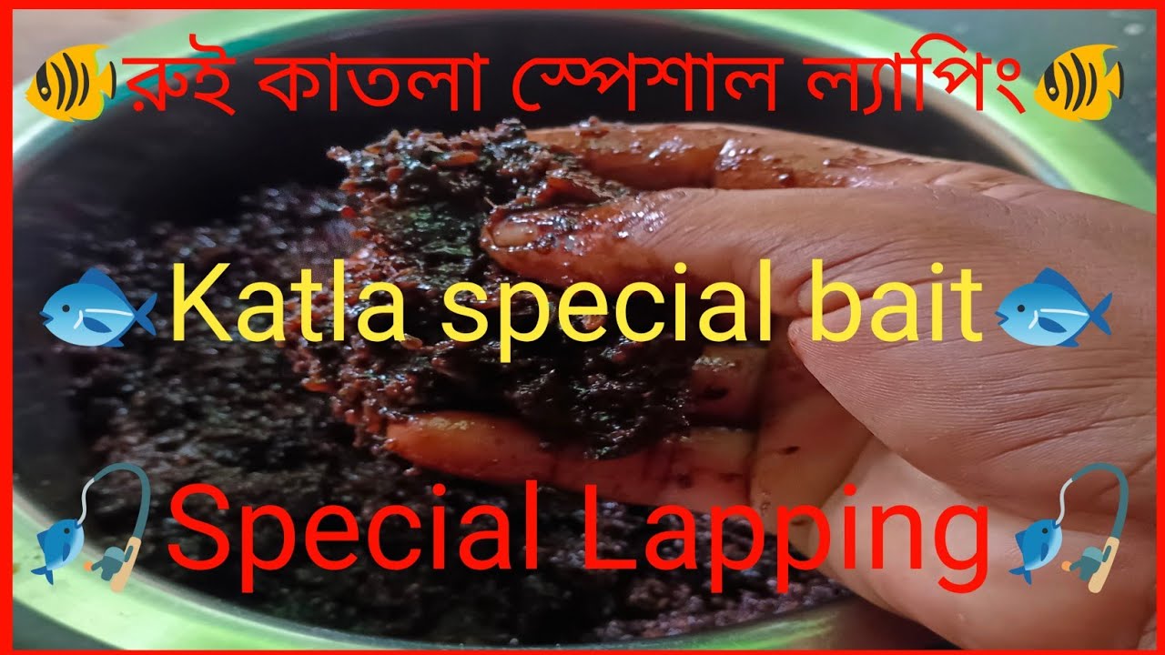 কাতলার স্পেশাল মহুয়া ল্যম্পিং 🐟how to proceed mohua laping at home 🐠 #fishing #bait. #viralvideo