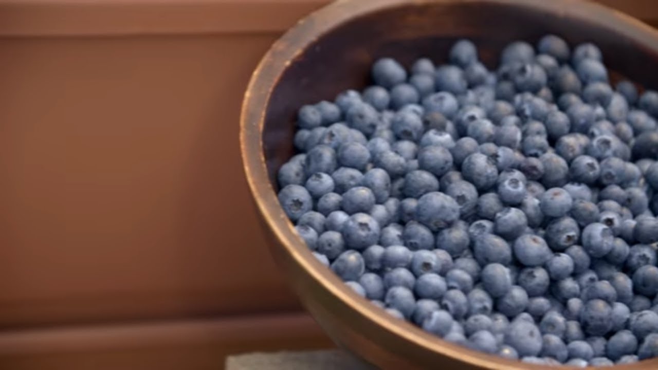 How to Grow Blueberries | Mitre 10 Easy As Garden