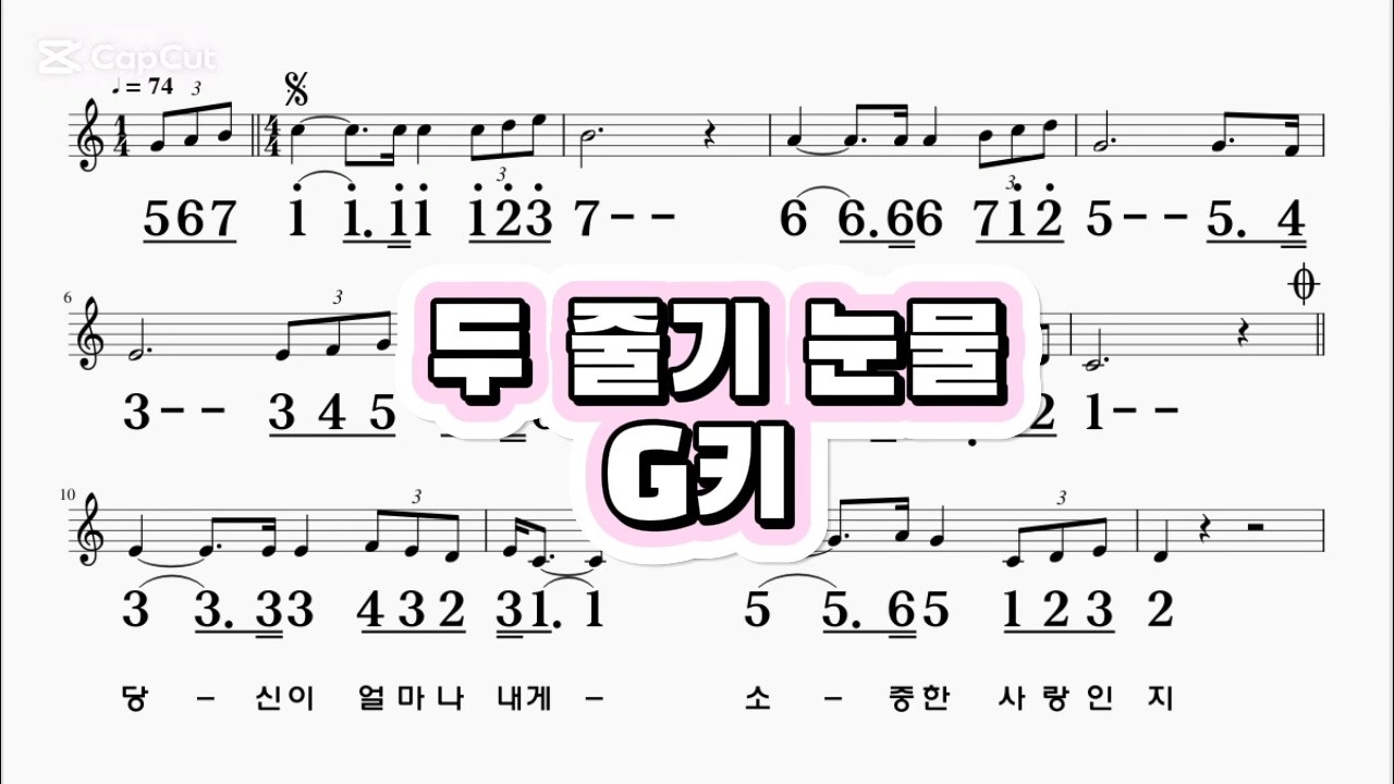 두줄기눈물 나훈아 G키 하모니카 악보 영상