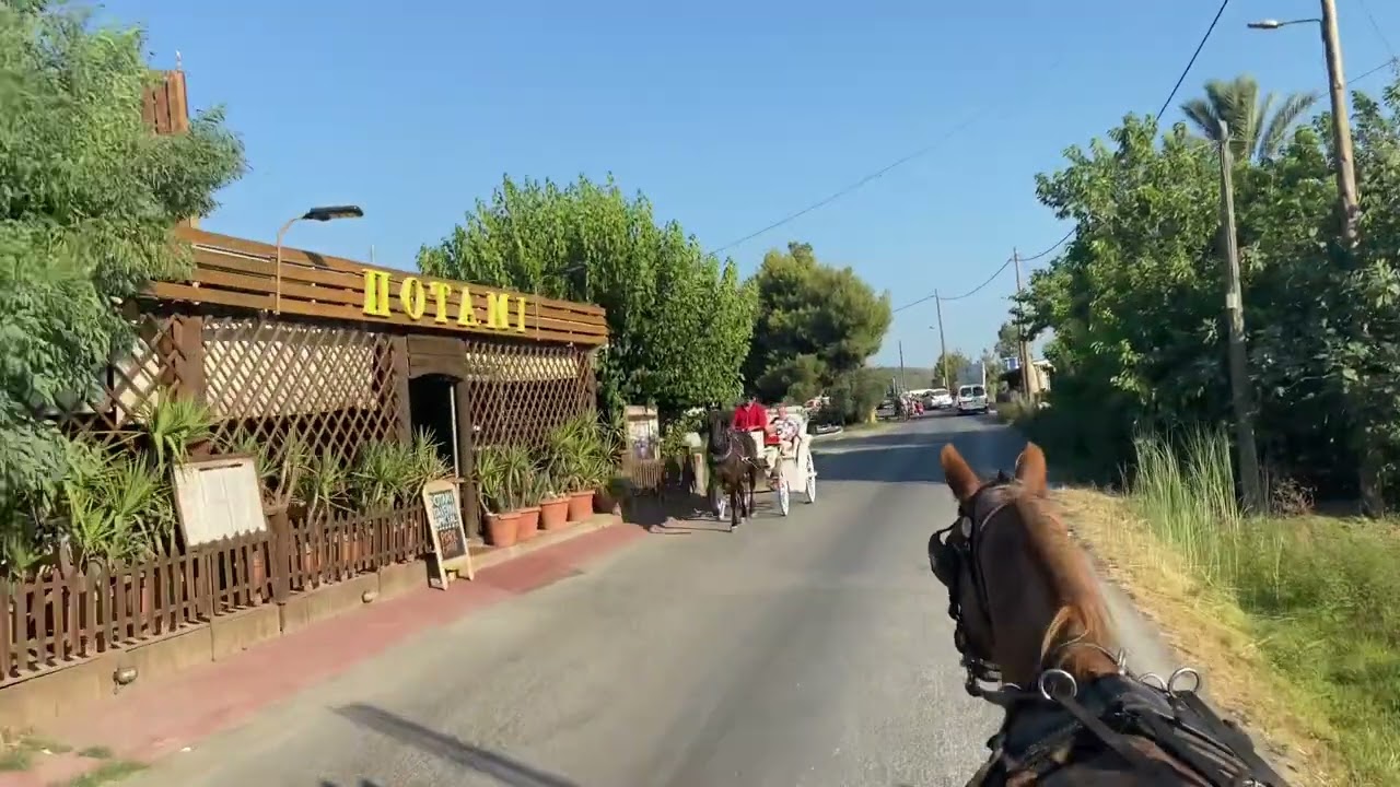 Horse and Carriage Ride From Alykes to Alykanas in Zakynthos Greece