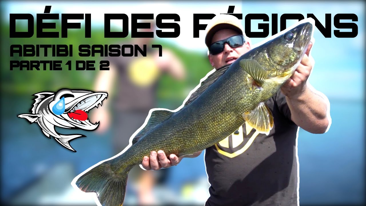 🎣Un Doré Monstre et Nouveau Record au DÉFI DES RÉGIONS ABITIBI S7 Partie 1