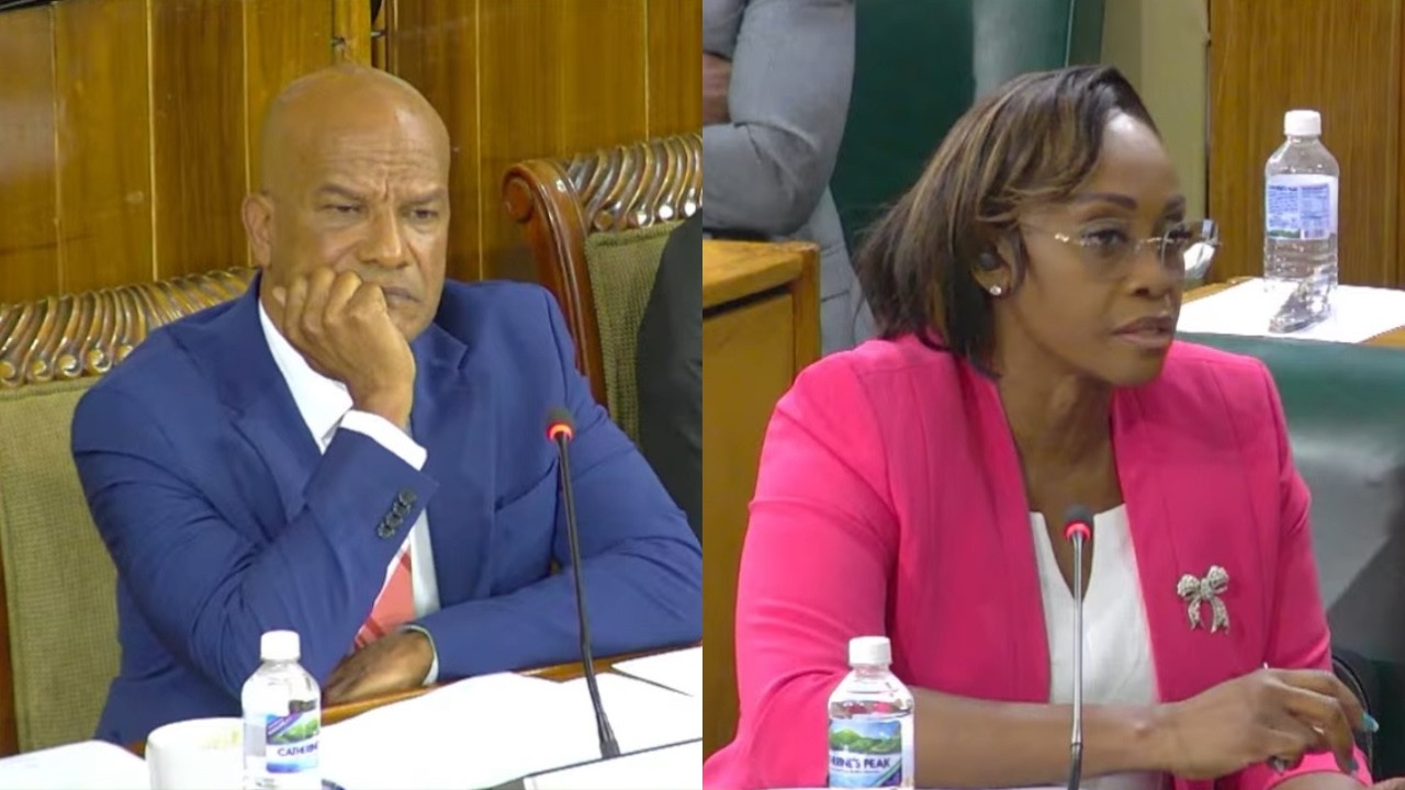 Миссис Холнесс вступает в конфликт с Бантингом и депутатом от ННП!