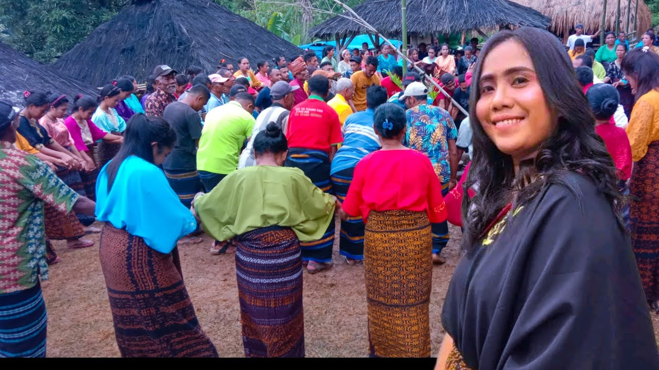 LAGU ENDE LIO//GAWI ENDE LIO//AMATUS PETA