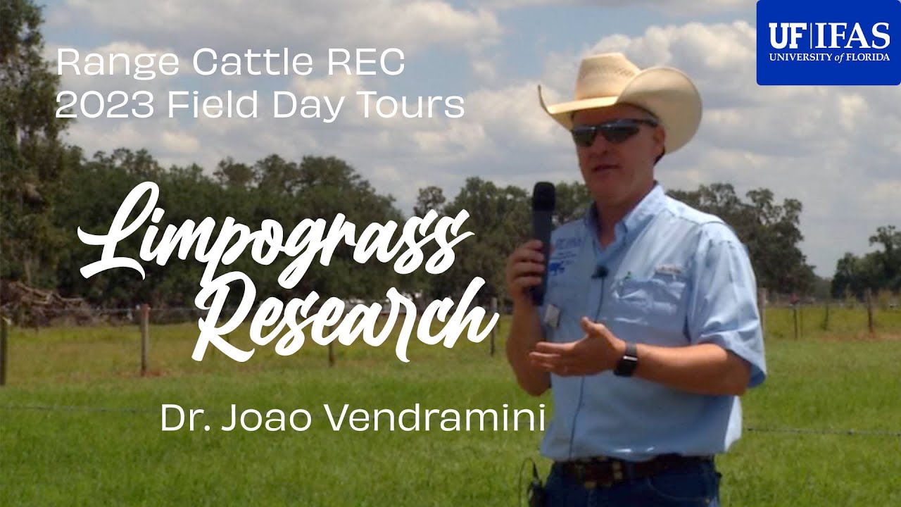 Updates on Limpograss Management in South Florida (Part 9 of 9)