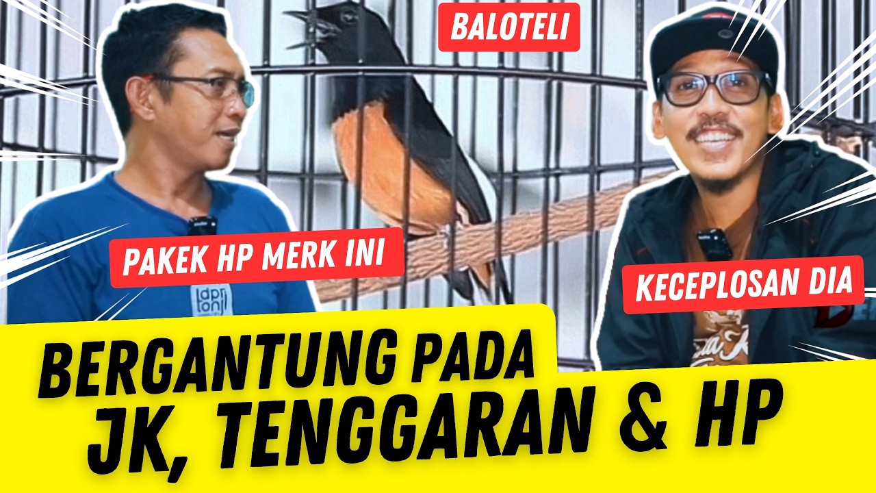 BONGKAR RAWATAN MURAI BALOTELI ‼️ KUNCINYA DI UMBAR DAN MASTERAN