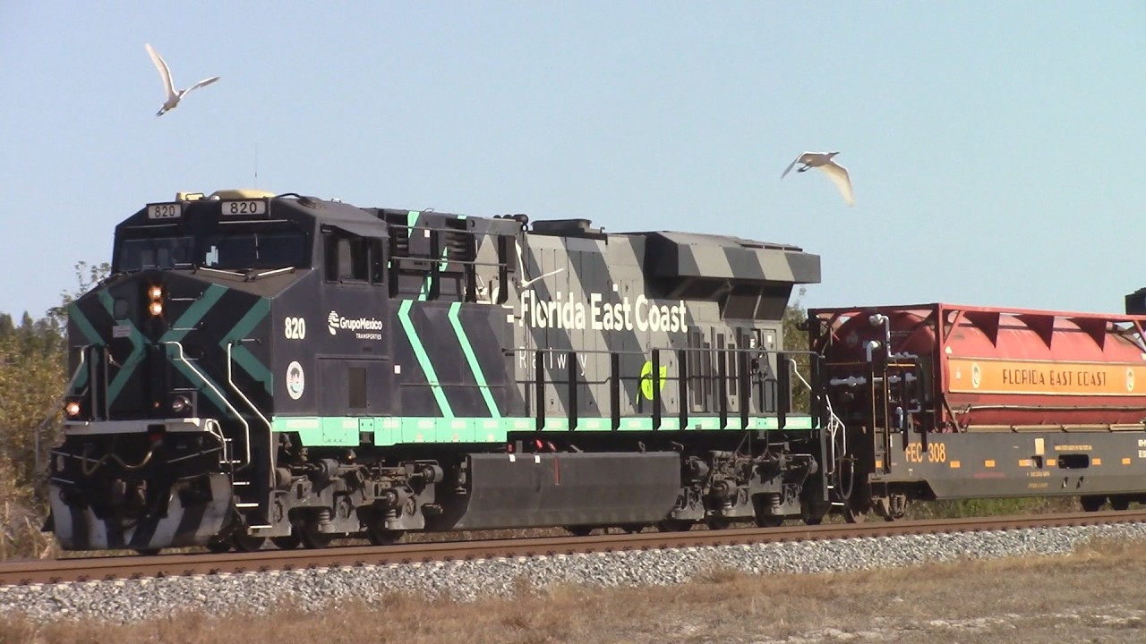 FEC206 Feb 10, 2026