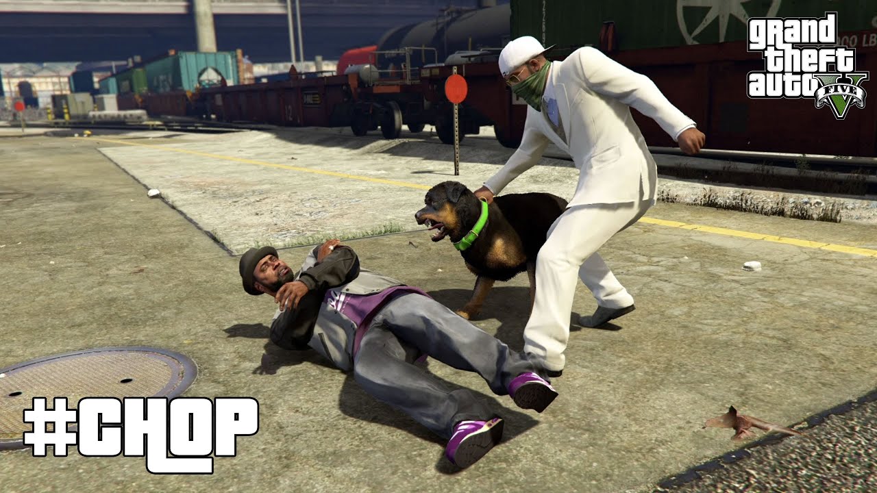GTA 5 Story Mode - Chop #gta5 #rockstargames #gta6 #gameplay #gta5guide #trending
