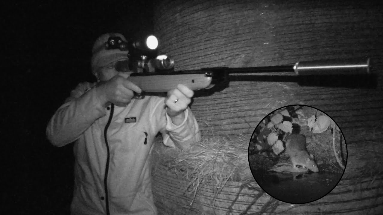 The Airgun Show – lamping rats with a spring-powered gun, PLUS the Fenix HM65R ShadowMaster…