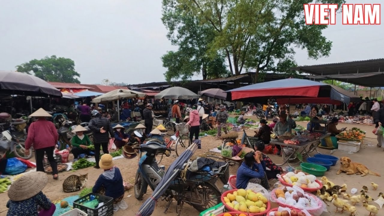 Vietnamese Rural Market  Locals Sell Dogs, Cats, Chickens, Ducks, And Food At Cheap Prices