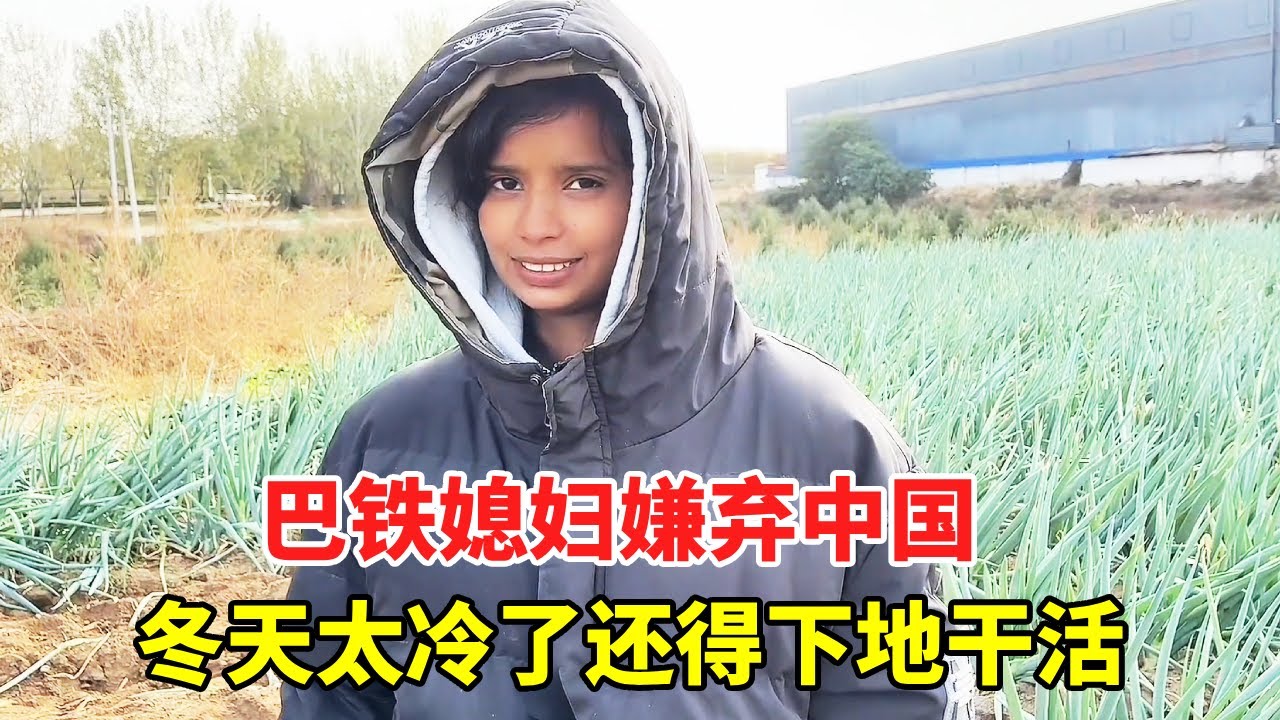 巴铁媳妇嫌弃中国冬天太冷了！每天还得下地干活，真的很想回家【巴铁媳妇舒迈拉】