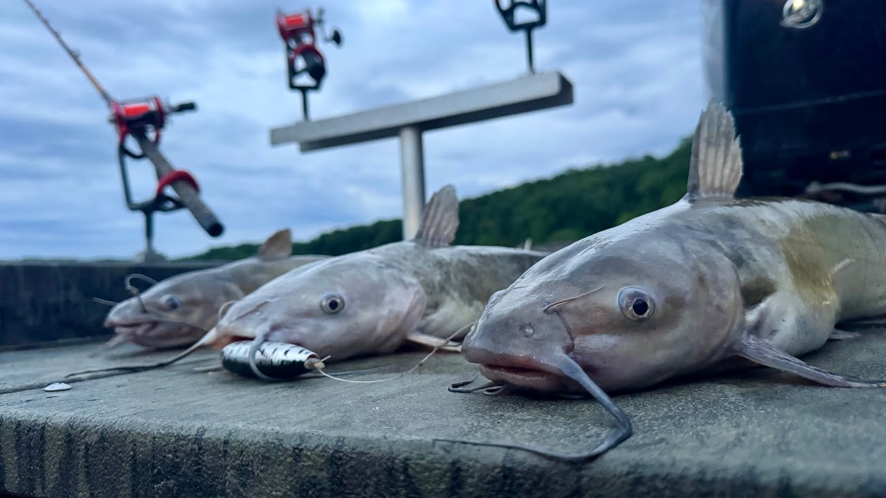I CAUGHT TWO FISH ON ONE POLE!!