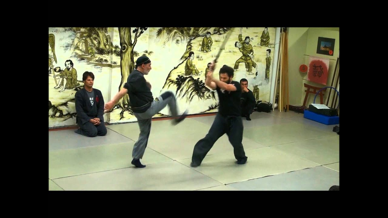 Ninjutsu/Bujinkan Banbutsu Ruten Dojo Hellas-Philipp Matsiridis ,Bujinkan  Shihan