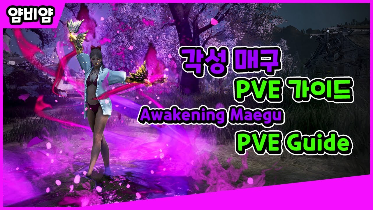 [검은사막] 각성 매구 | PVE 콤보 가이드 | Awakening Maegu | PVE Guide