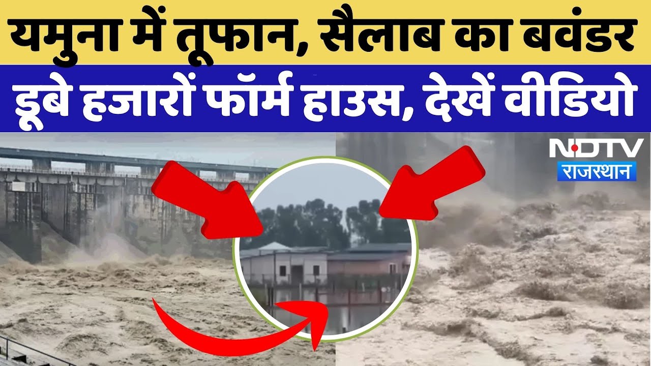 Delhi Flood Alert: यमुना का विकराल रूप, हजारों फॉर्म हाउस | Yamuna River | Heavy Rain in Delhi|Viral