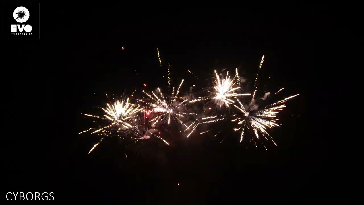 Cyborgs by Evo Pyrotechnics @norfolkfireworksltd